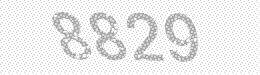 Visual security code — type the characters shown in the image